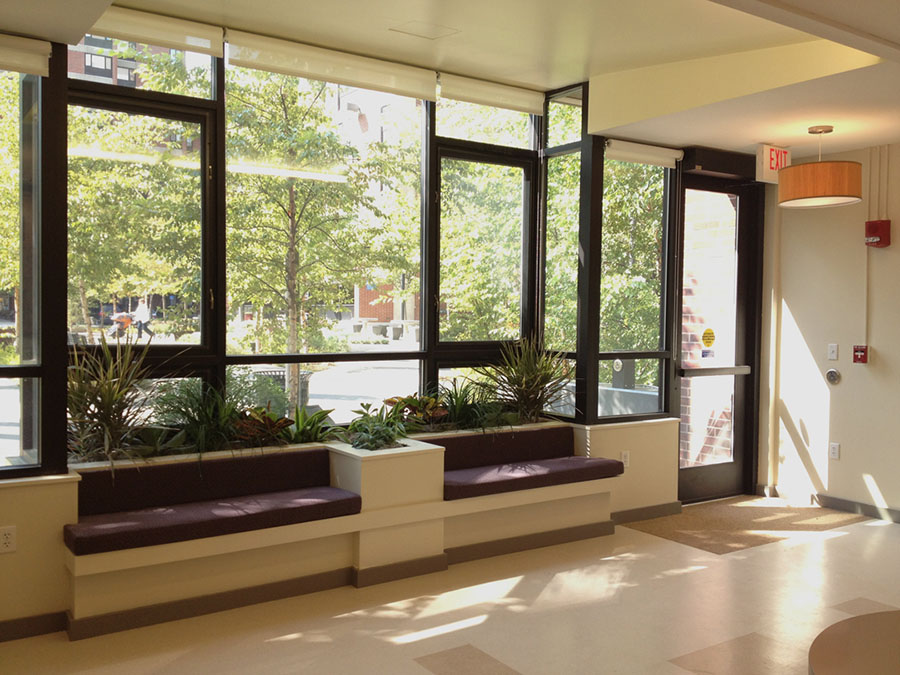 Large open windows with natural light and trees outside.