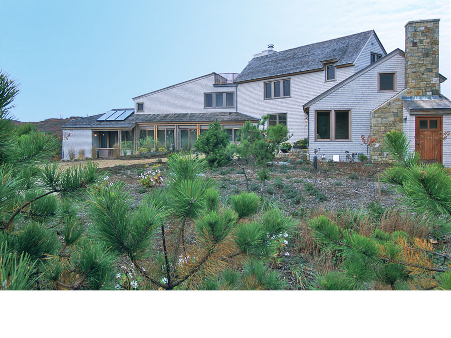 Sustainable landscape design at the Cape Cod house.