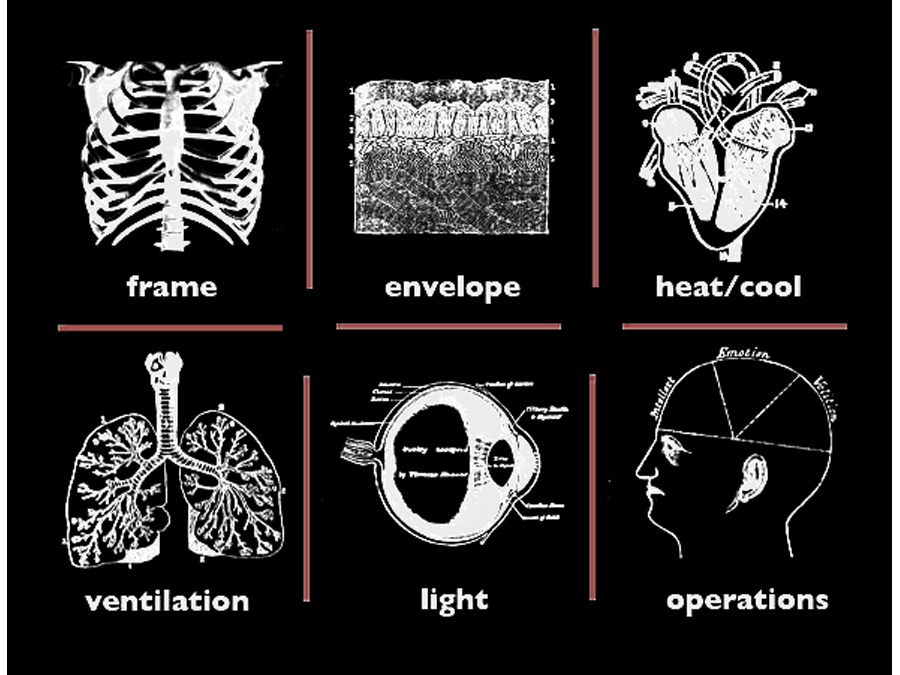 The relationship between the body and the home.