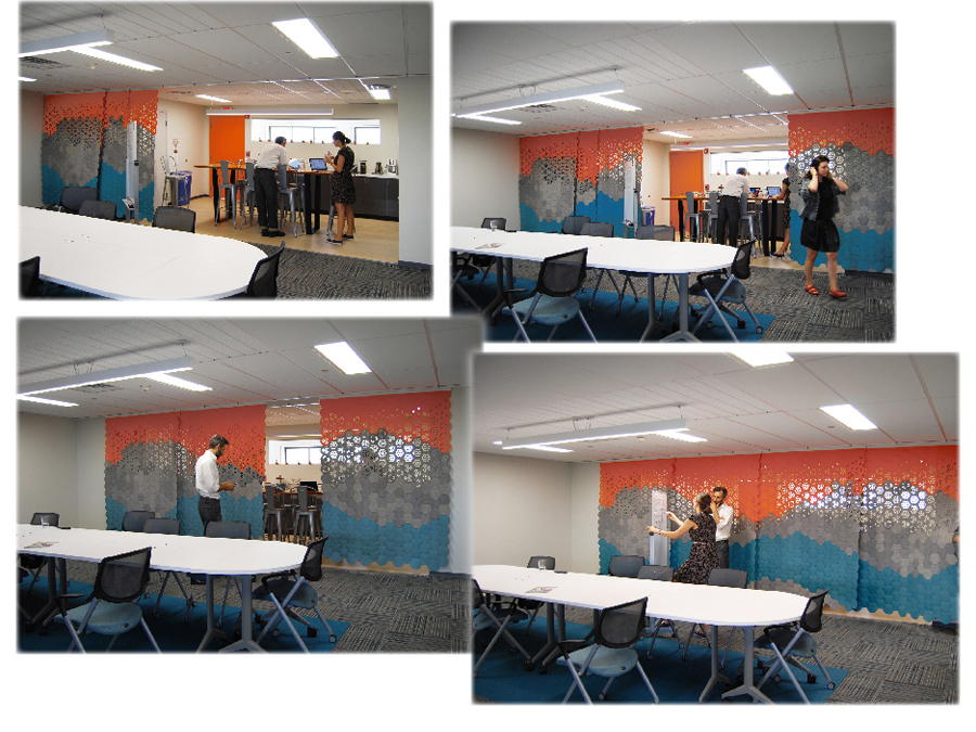 Filz Felt curtain in action at the Public Conversations Project offices